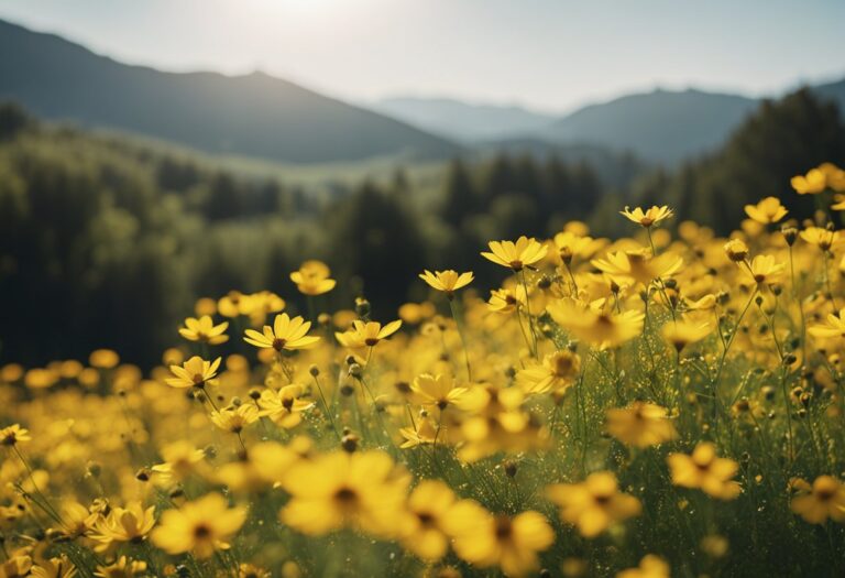 10 Varieties of Yellow Perennial Flowers