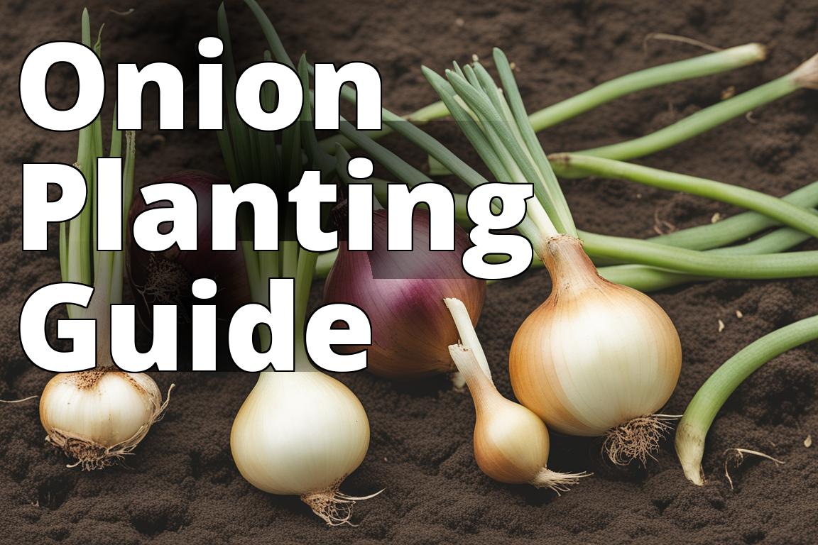 How to Plant Onions