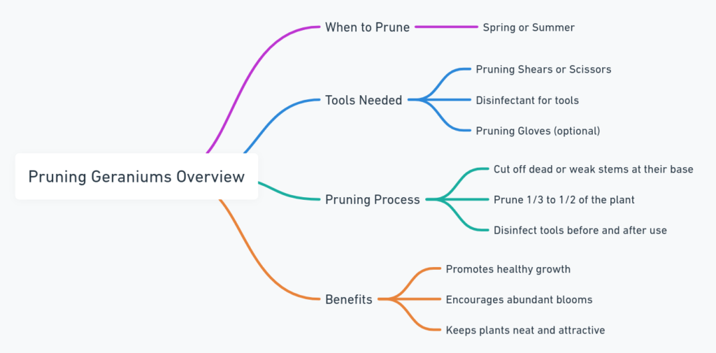 How to Prune Geraniums